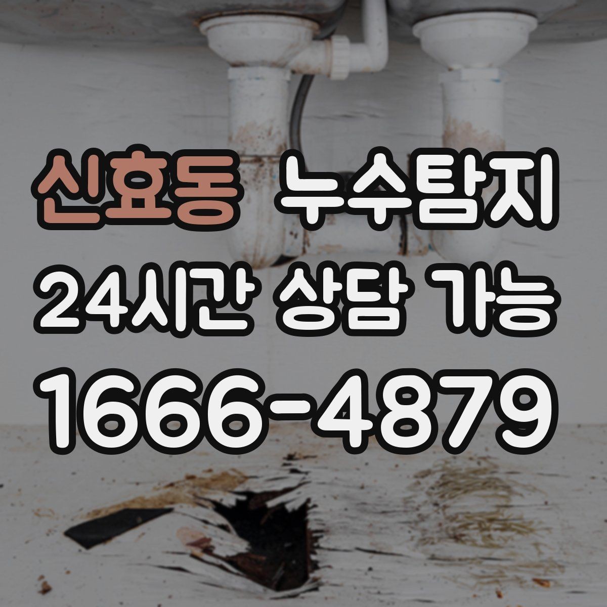 신효동 누수탐지 방수 층 손상 진단에서 복구까지