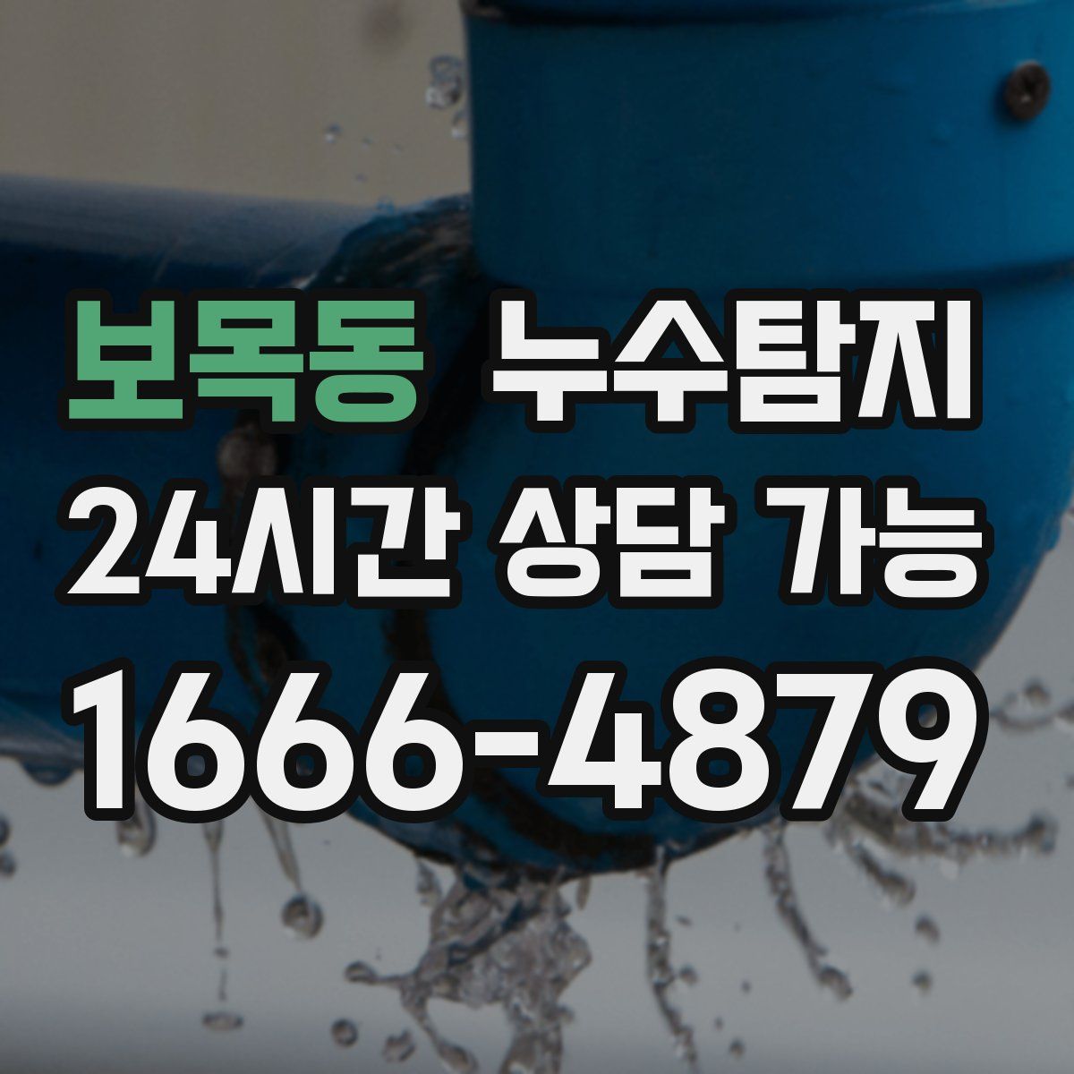 보목동 누수탐지