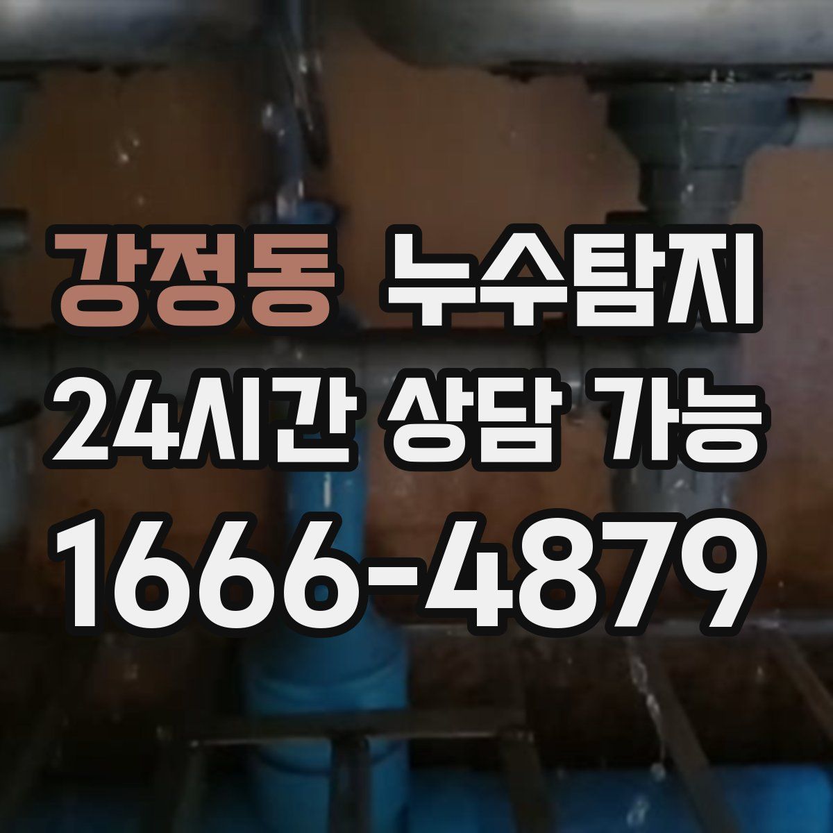 강정동 누수탐지