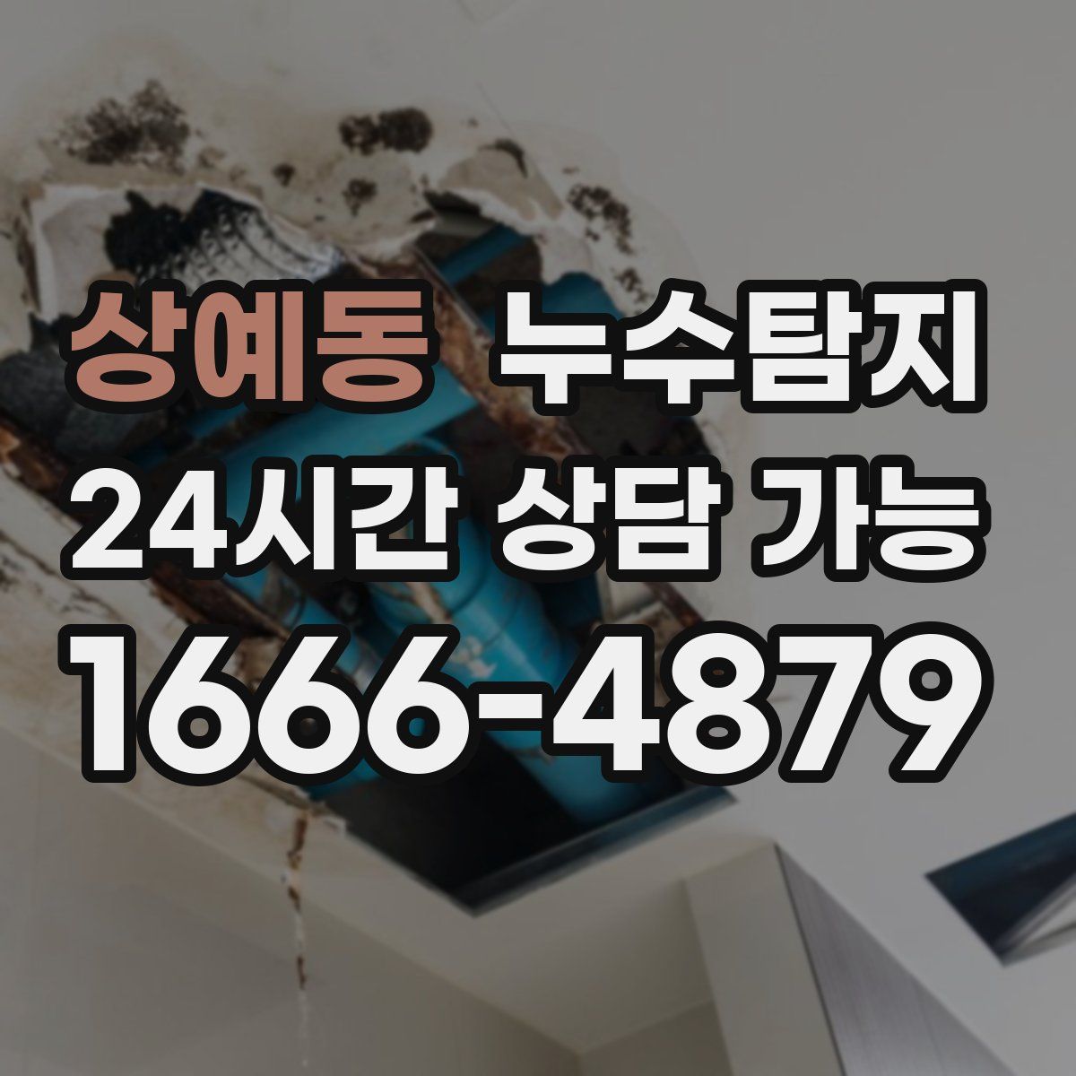 상예동 누수탐지