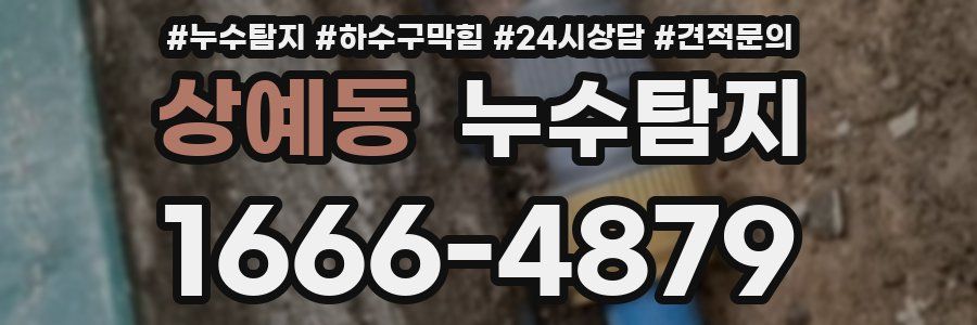 누수탐지