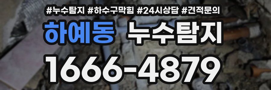 누수탐지
