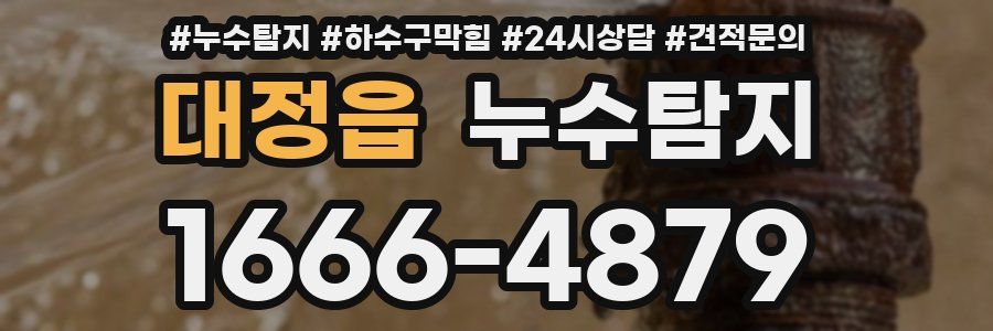 누수탐지