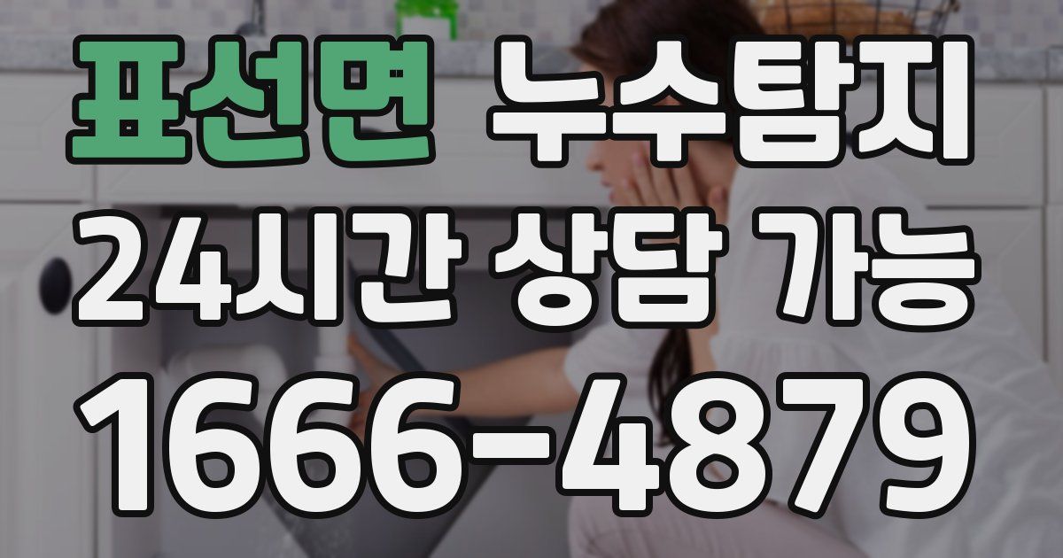 표선면 누수