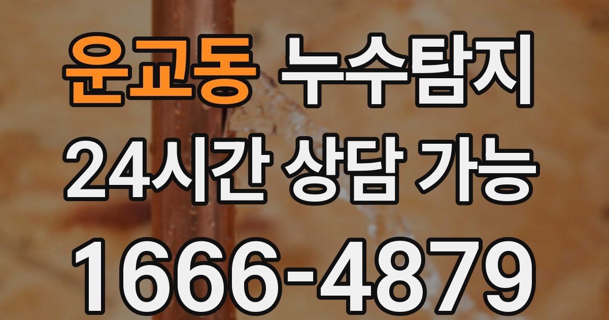 운교동 누수