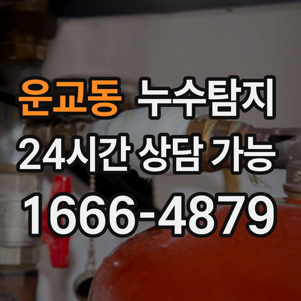 운교동 누수탐지