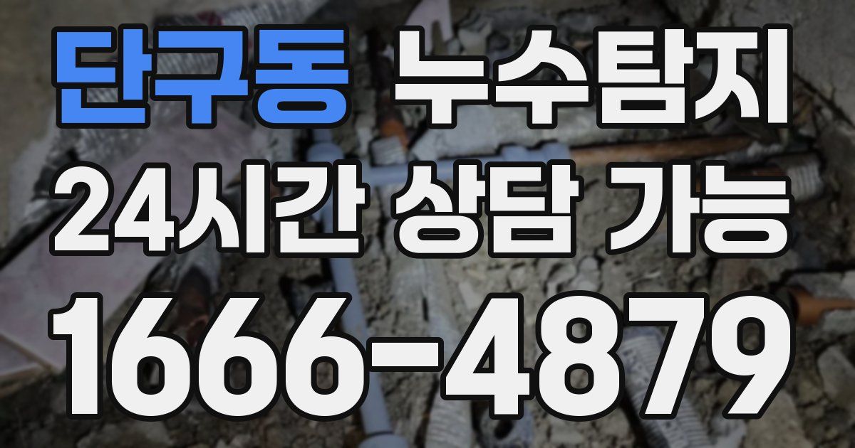 단구동 누수