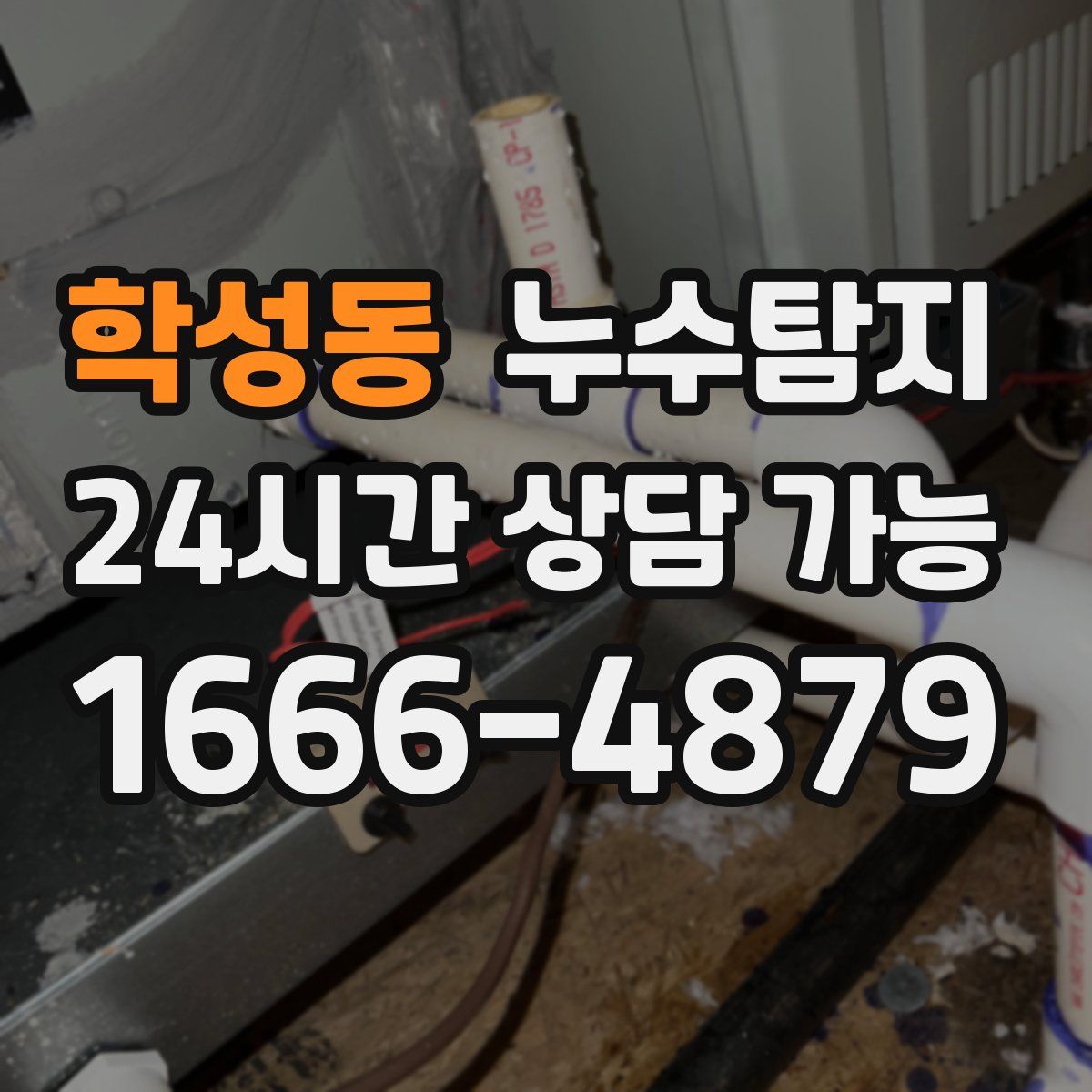 학성동 누수탐지