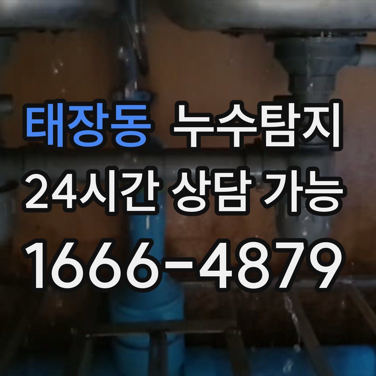 태장동 누수탐지 사진과 영상으로 남긴 복구 기록