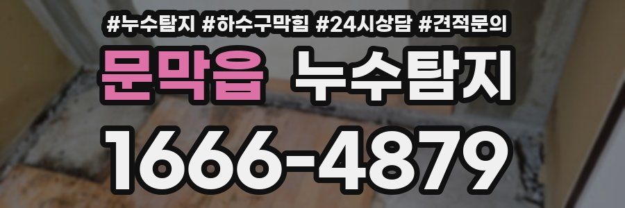 누수탐지