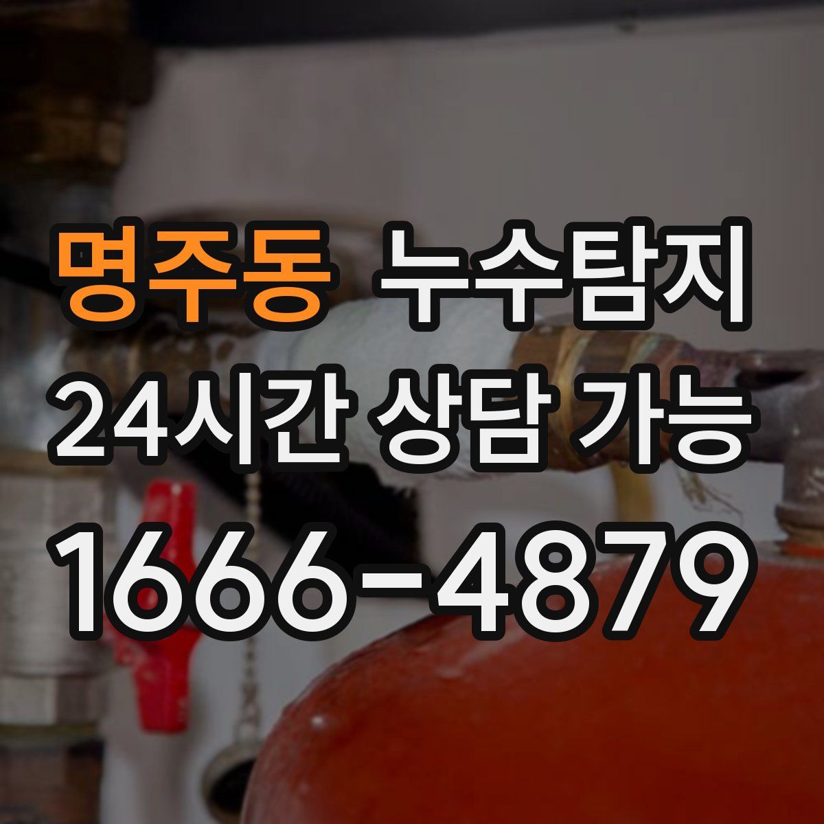 명주동 누수탐지