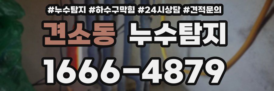 누수탐지