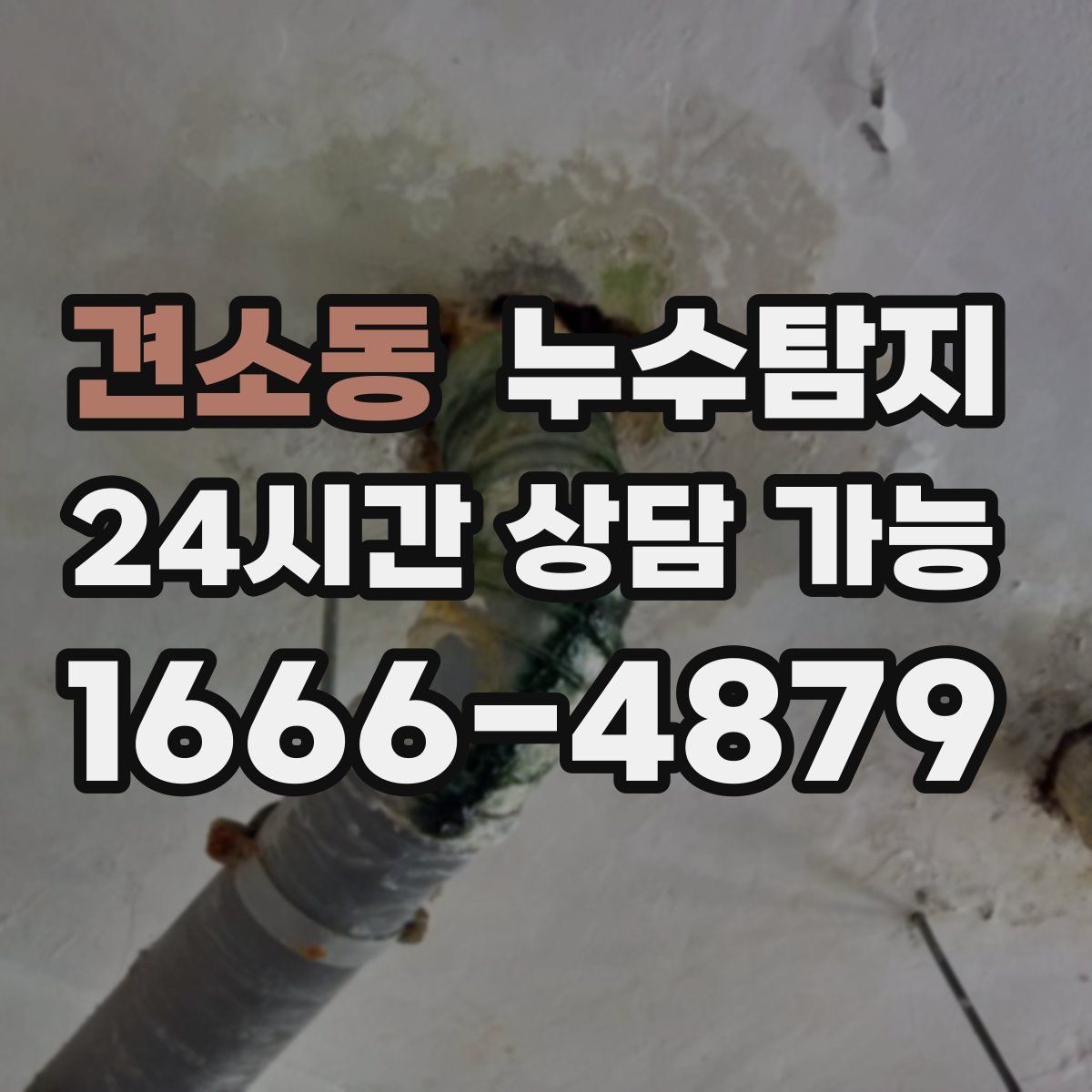 견소동 누수탐지