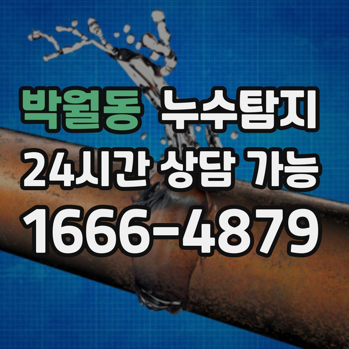 박월동 누수탐지