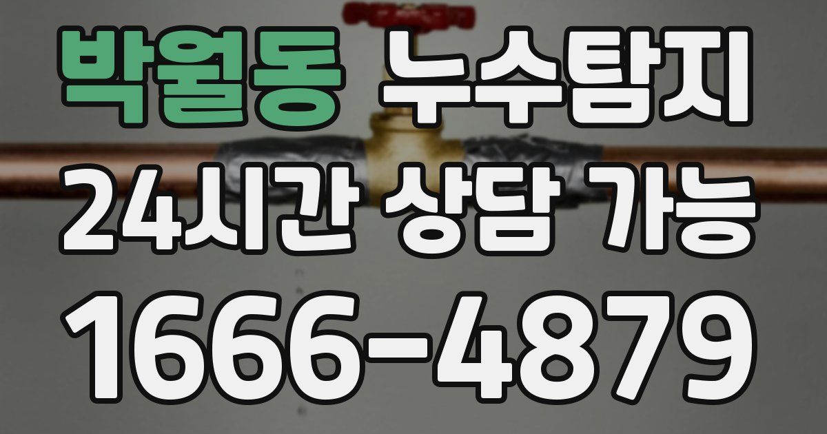 박월동 누수