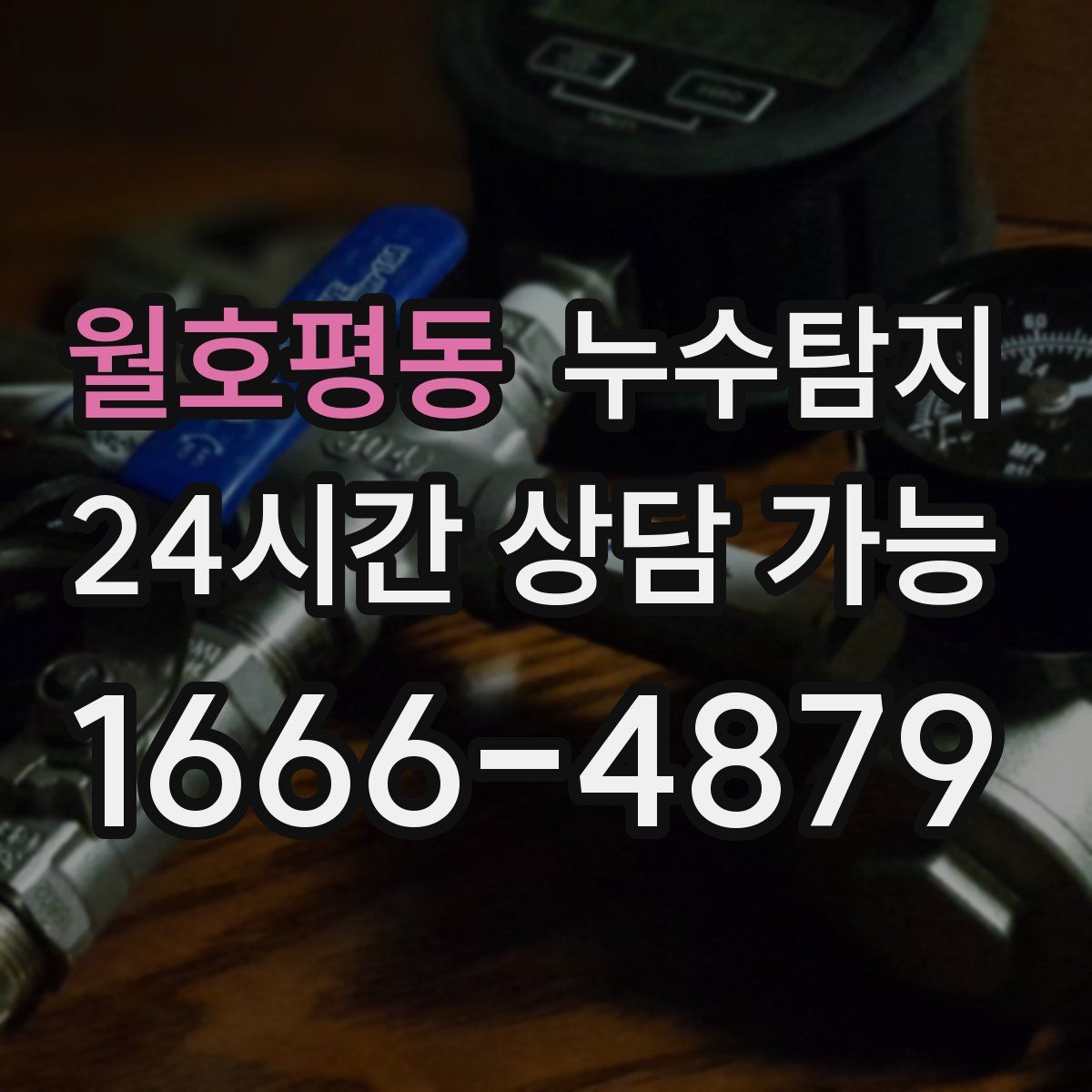 월호평동 누수탐지