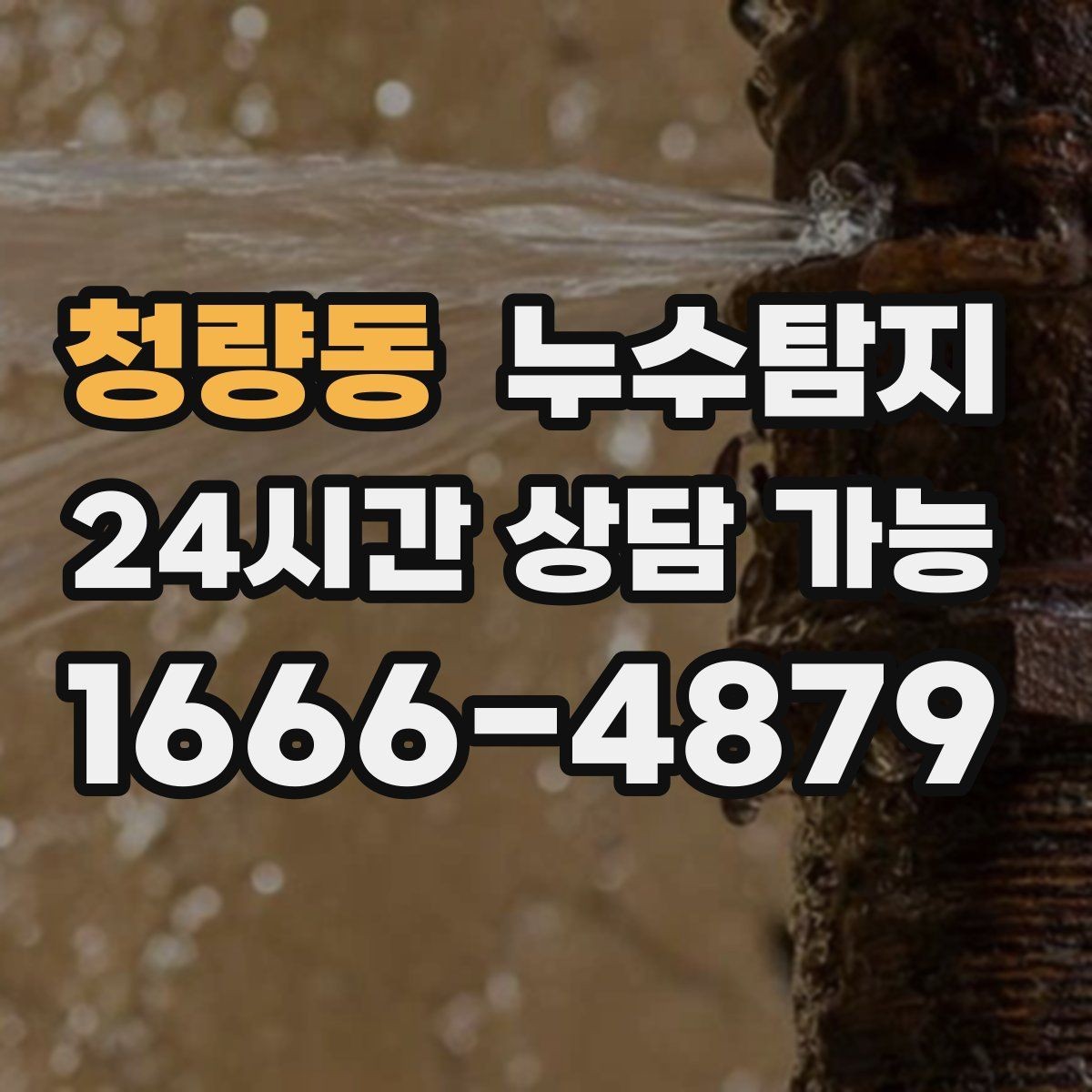 청량동 누수탐지 학교 시설 점검 사례 공유