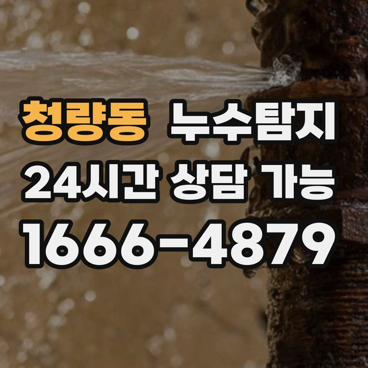 청량동 누수탐지