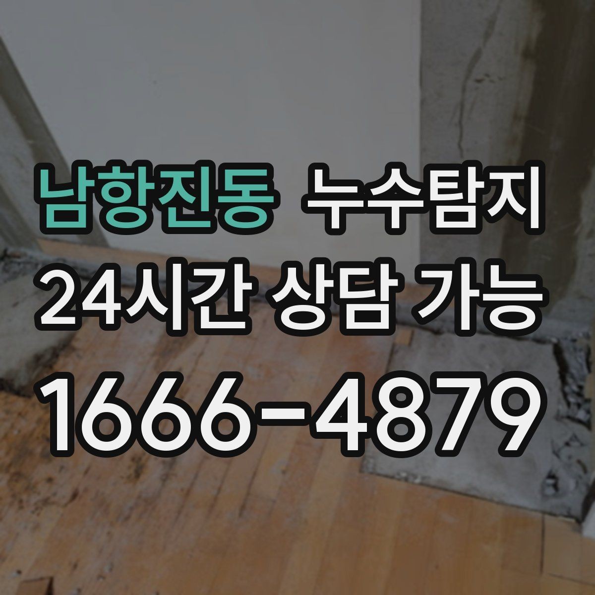 남항진동 누수탐지 반려가정 배려 점검 후기