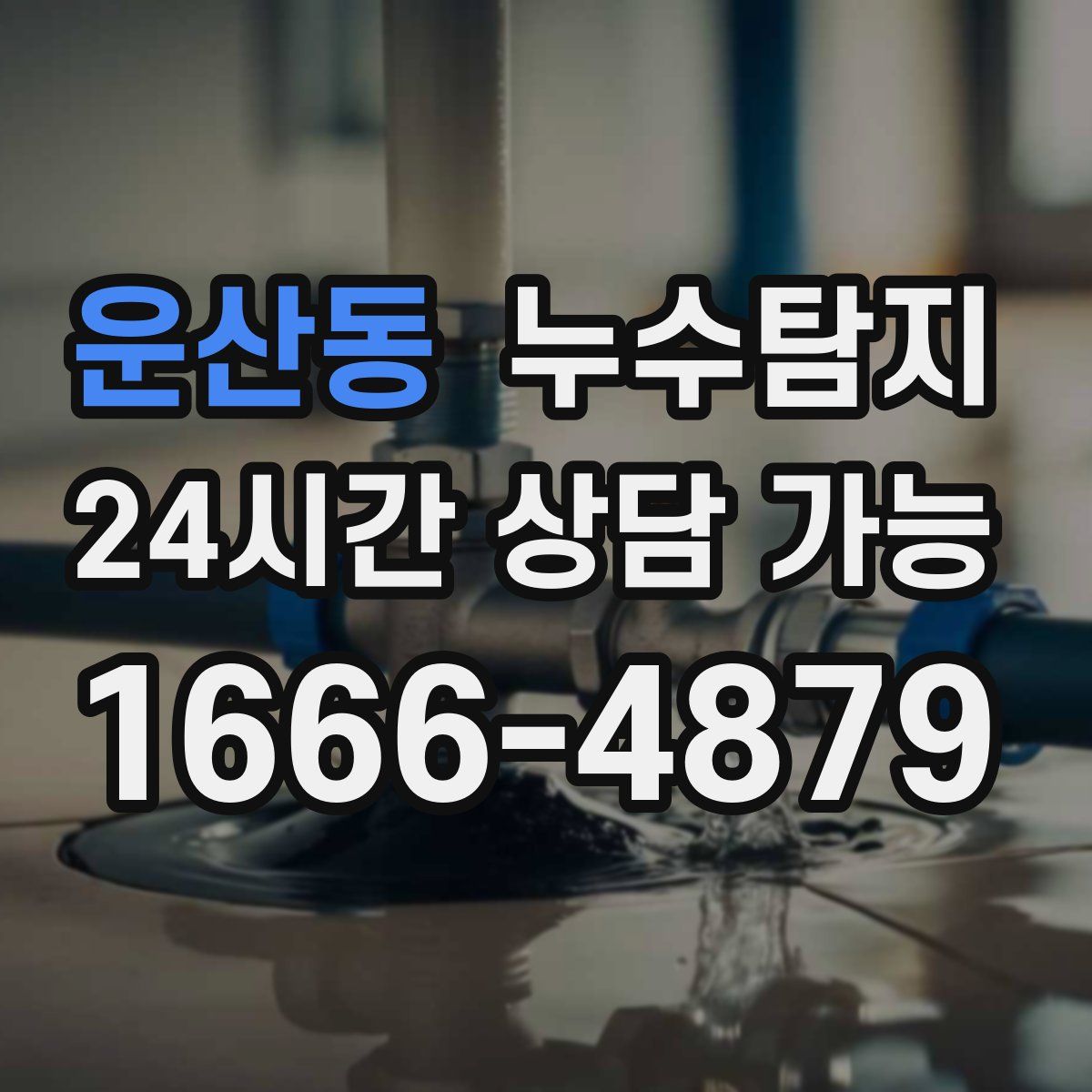 운산동 누수탐지
