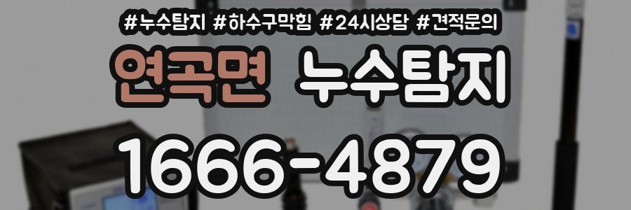 누수탐지
