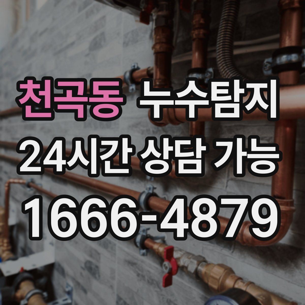 천곡동 누수탐지 이웃과 원만히 해결한 사례