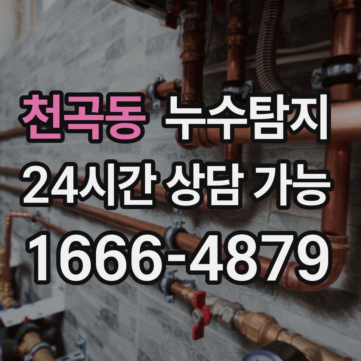 천곡동 누수탐지