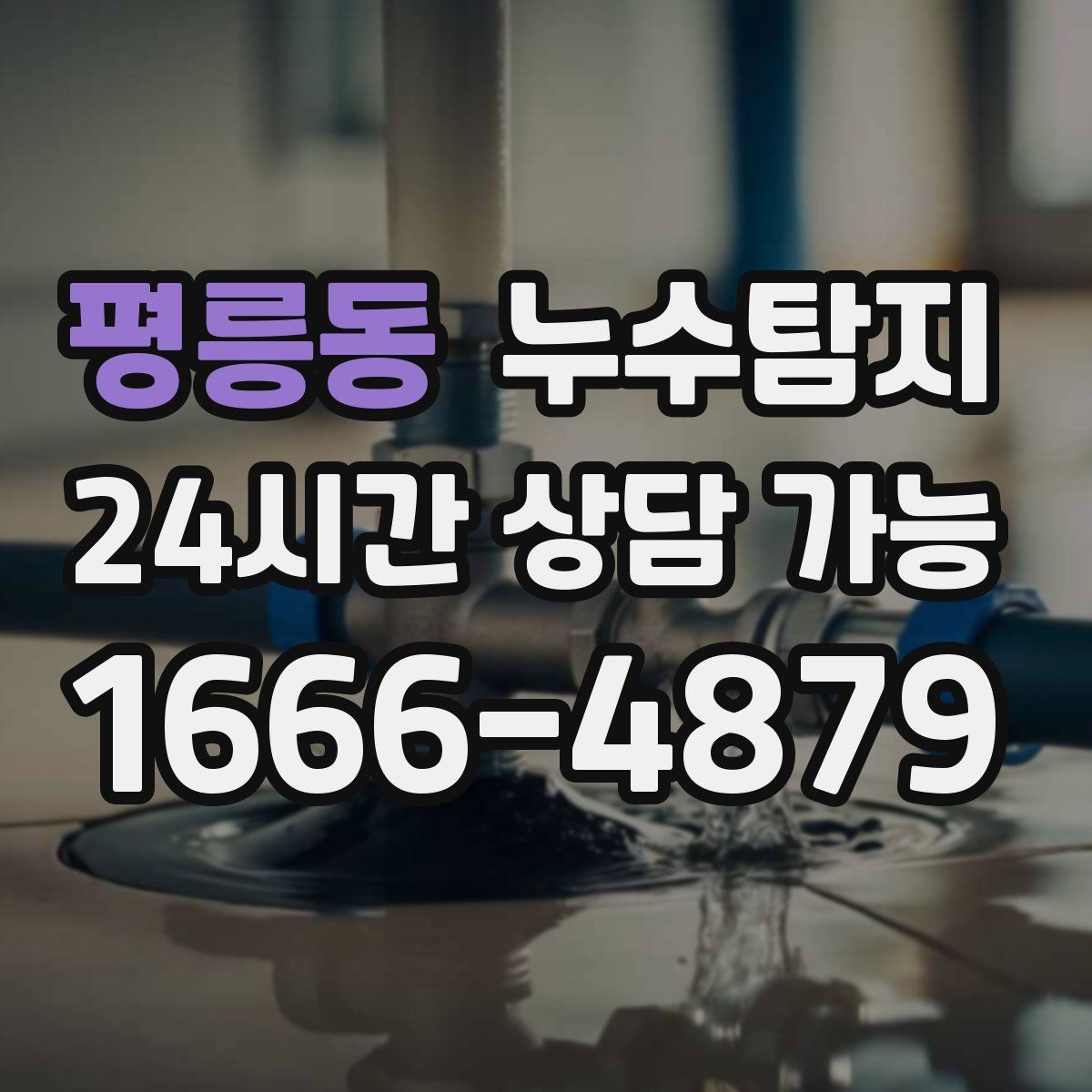 평릉동 누수탐지