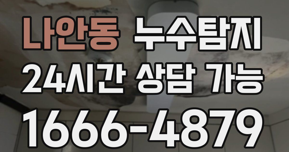 나안동 누수