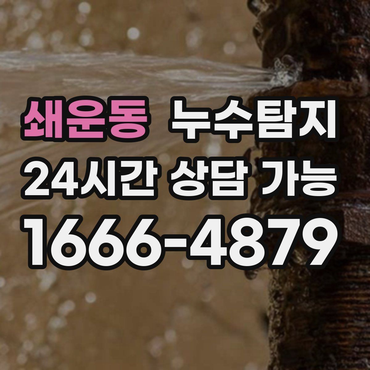 쇄운동 누수탐지 욕실 곰팡이 원인과 해결 과정