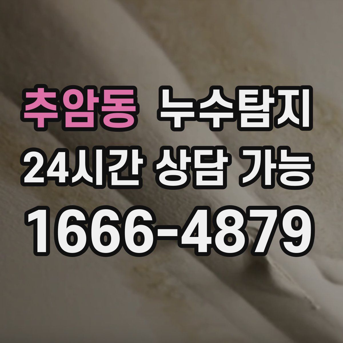 추암동 누수탐지