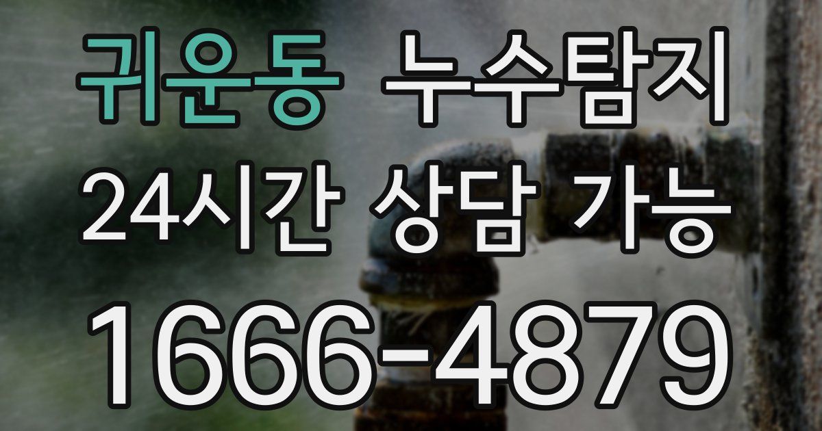 귀운동 누수