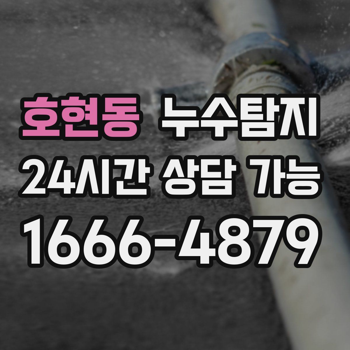 호현동 누수탐지