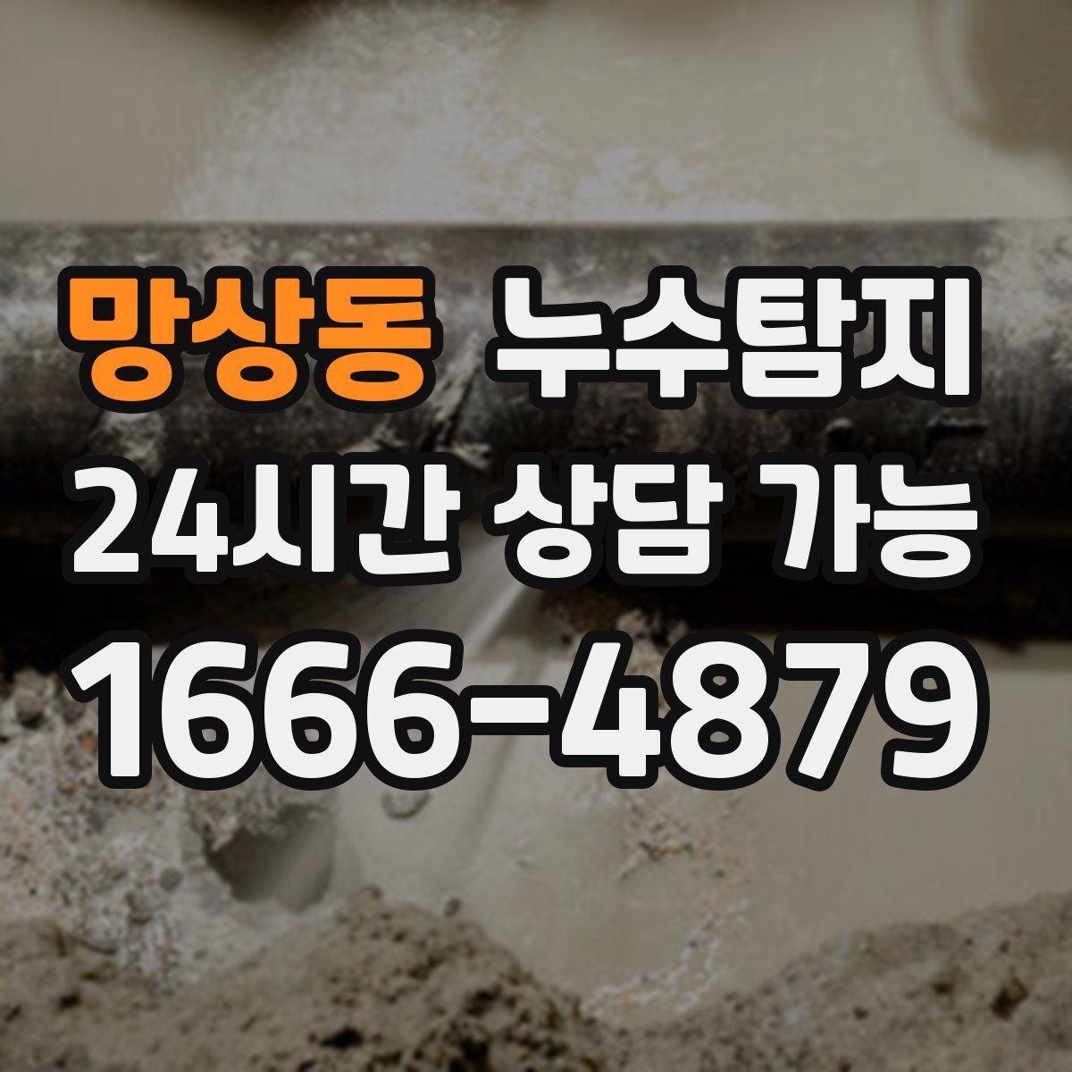망상동 누수탐지