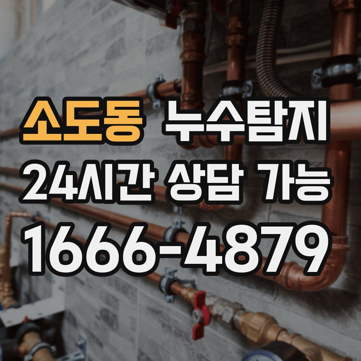 소도동 누수탐지