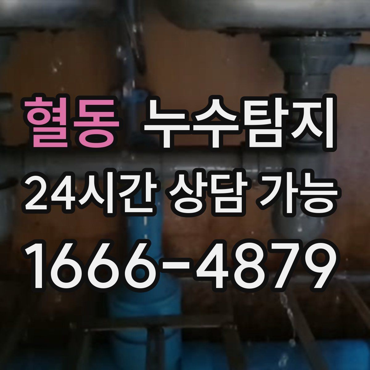 혈동 누수탐지 오래된 집에서 유용했던 팁