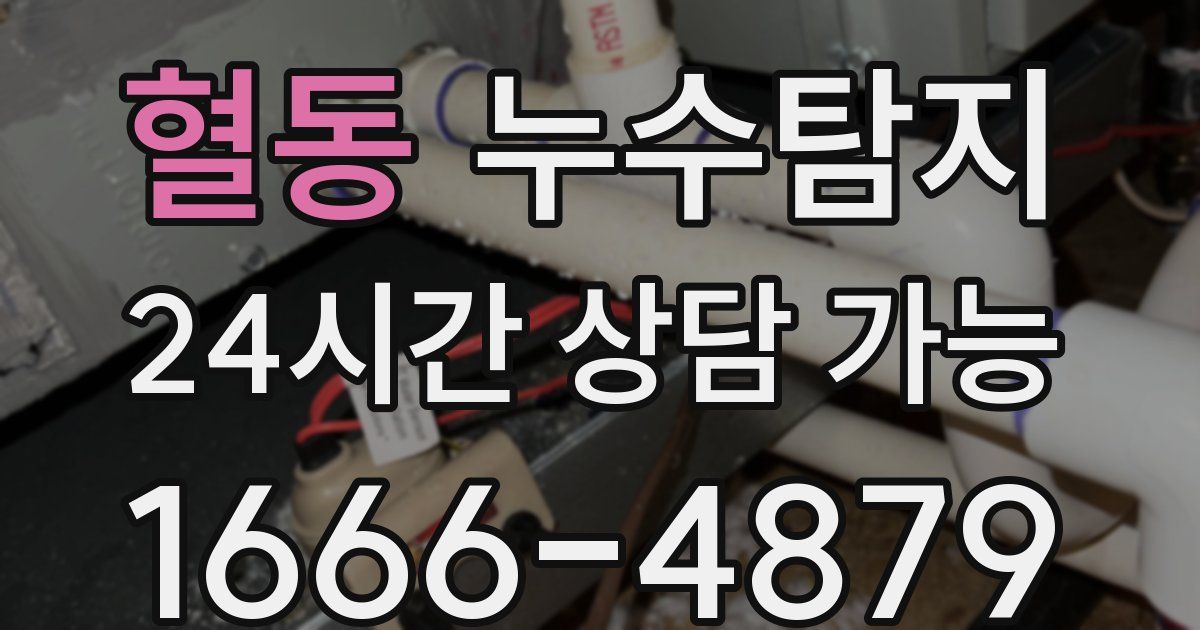 혈동 누수