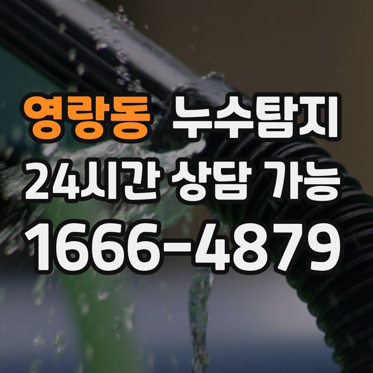 영랑동 누수탐지