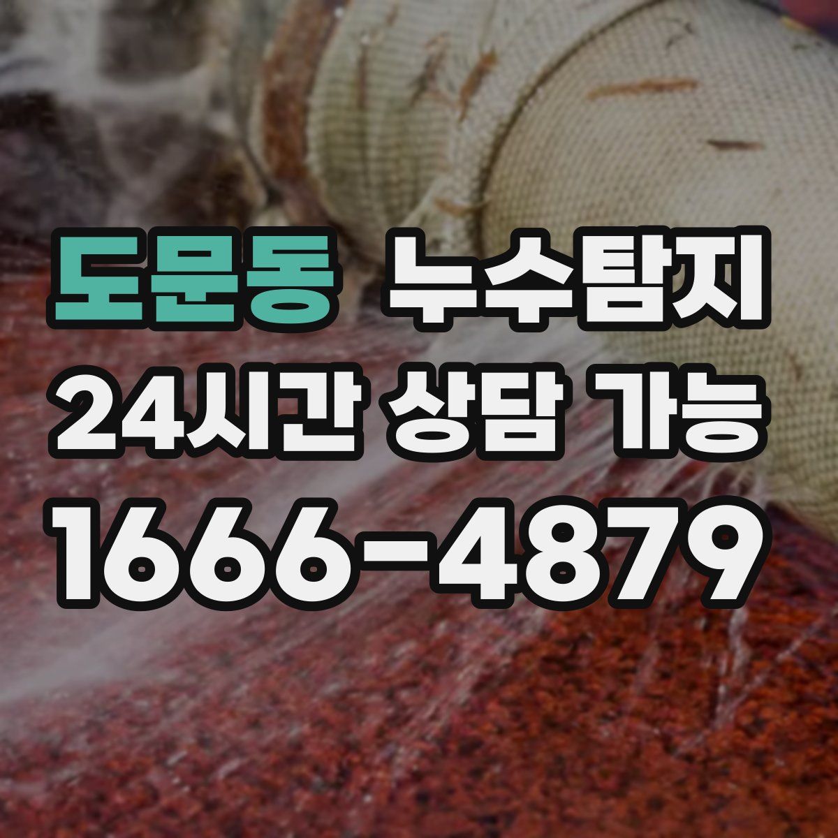 도문동 누수탐지