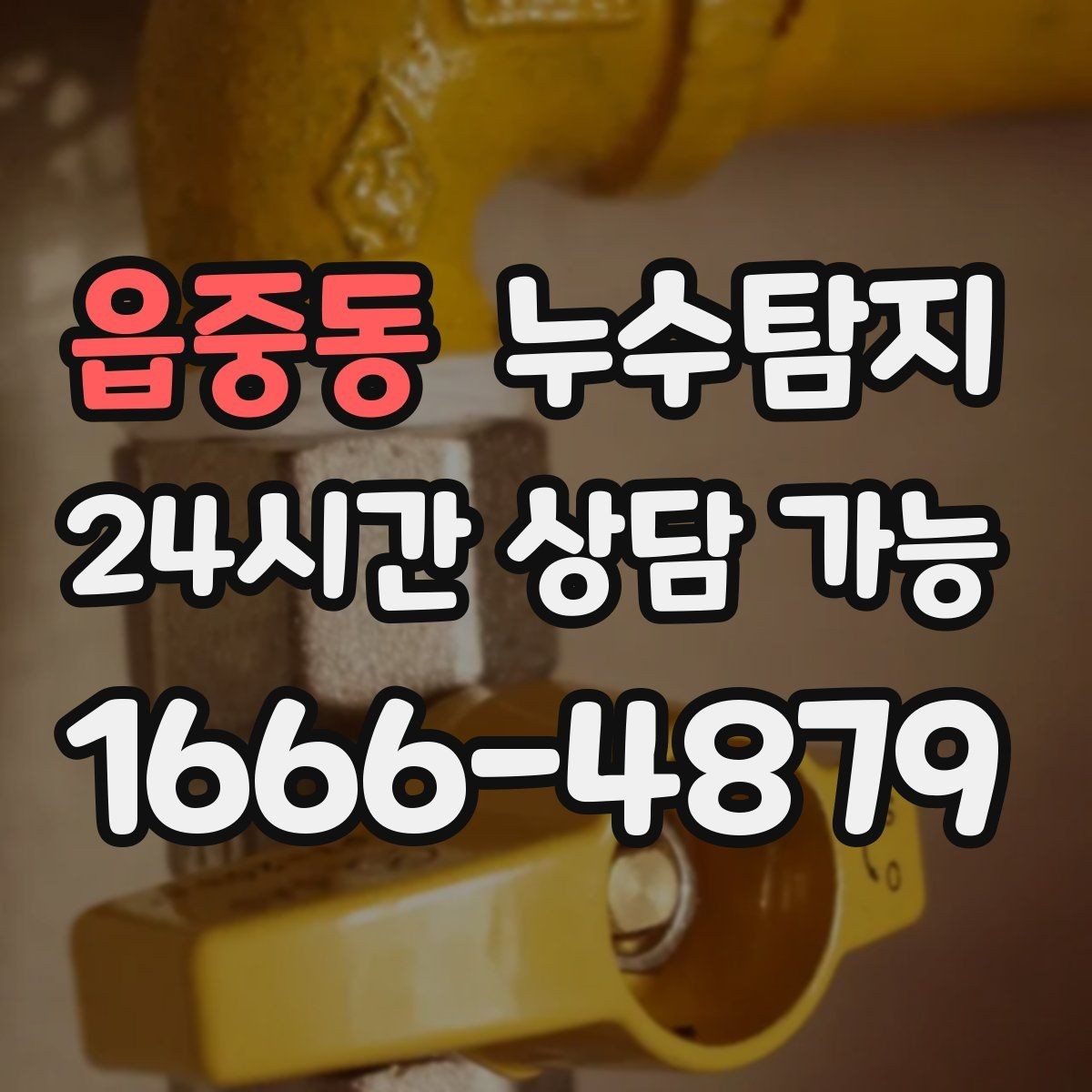 읍중동 누수탐지 줄눈 보수로 마무리한 후기