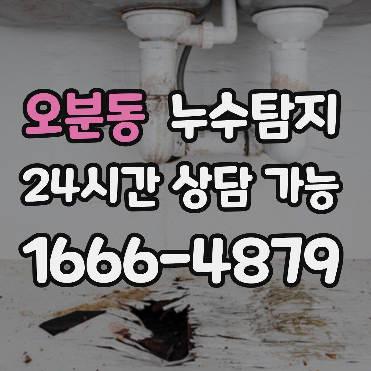 오분동 누수탐지 사전 점검으로 일정 지킨 이야기