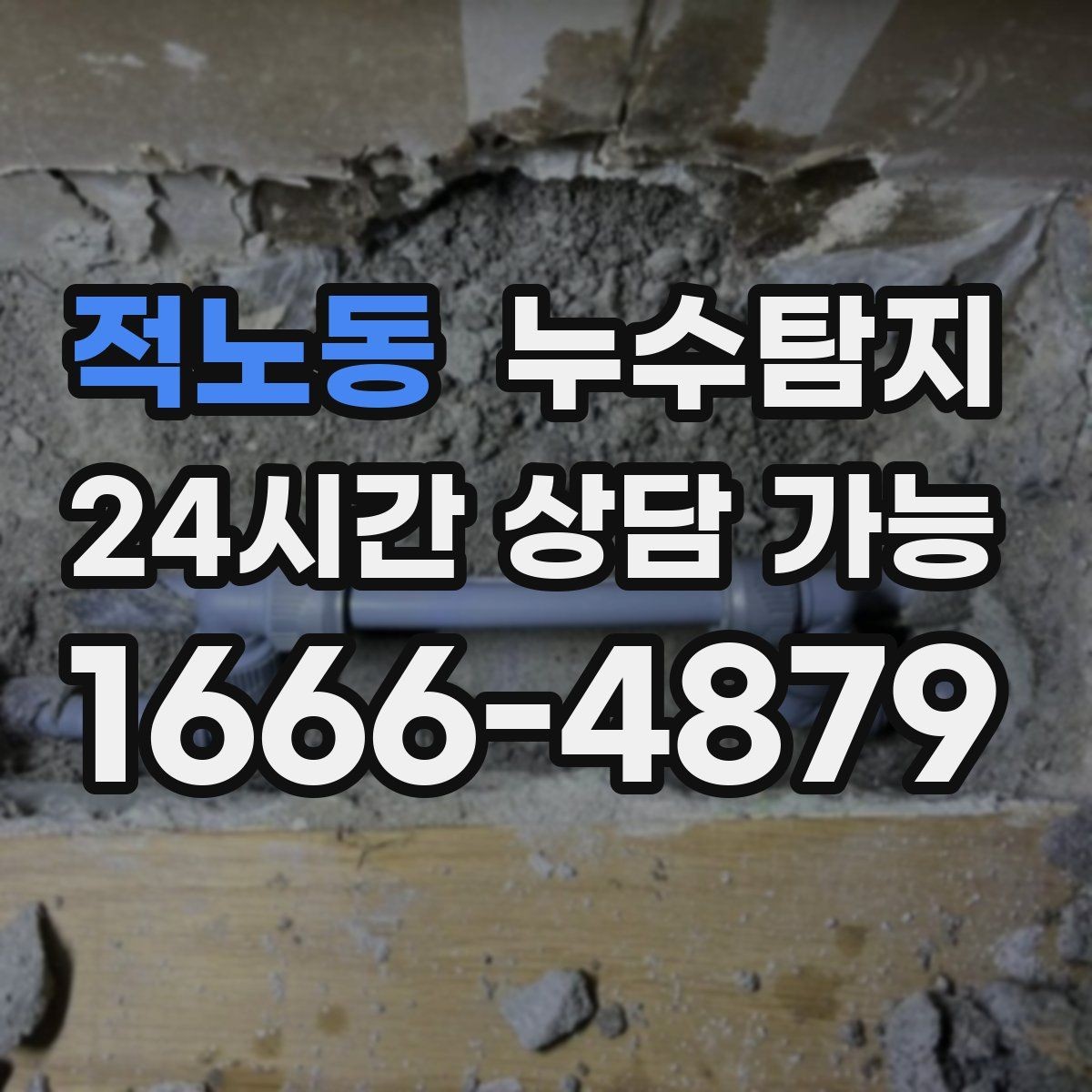 적노동 누수탐지 전세 계약 전 필수 하자 점검 가이드