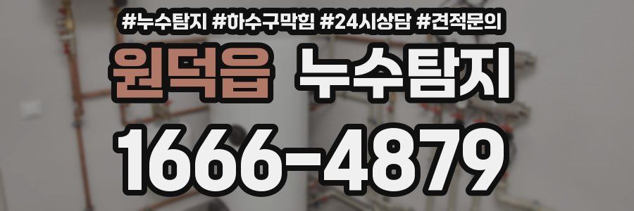 누수탐지