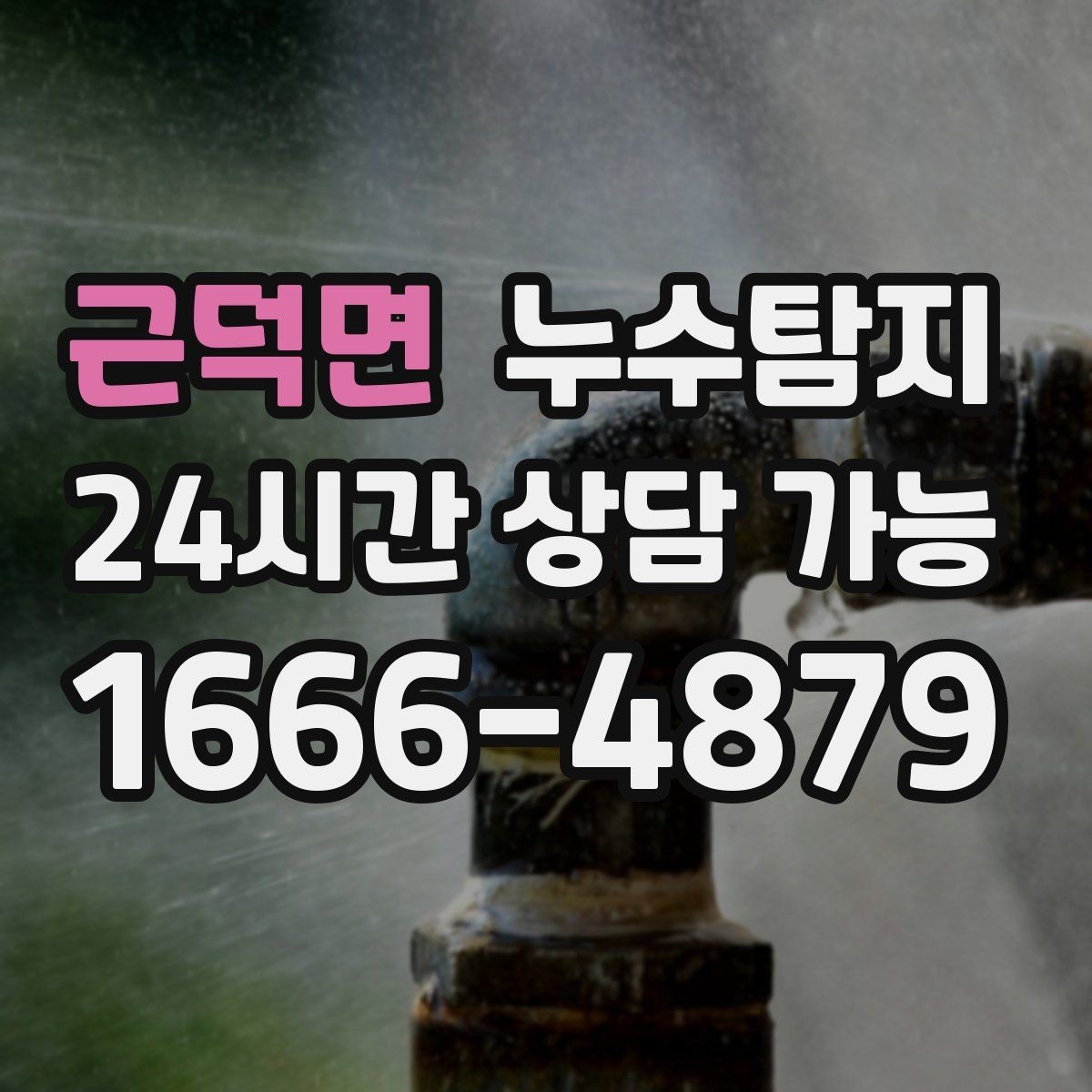 근덕면 누수탐지 타일 틈새 점검으로 찾은 누수