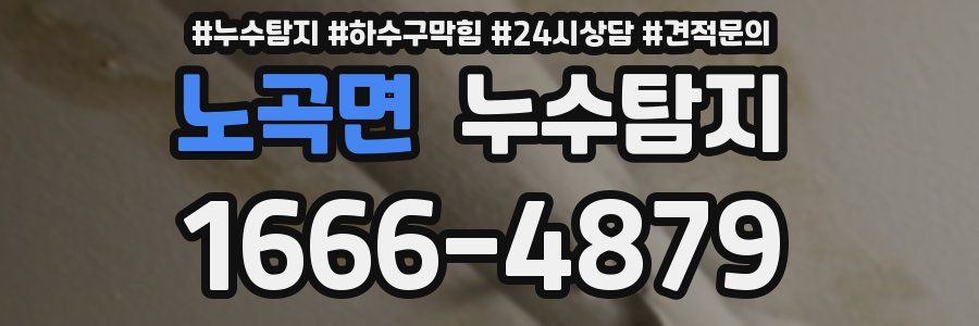 누수탐지