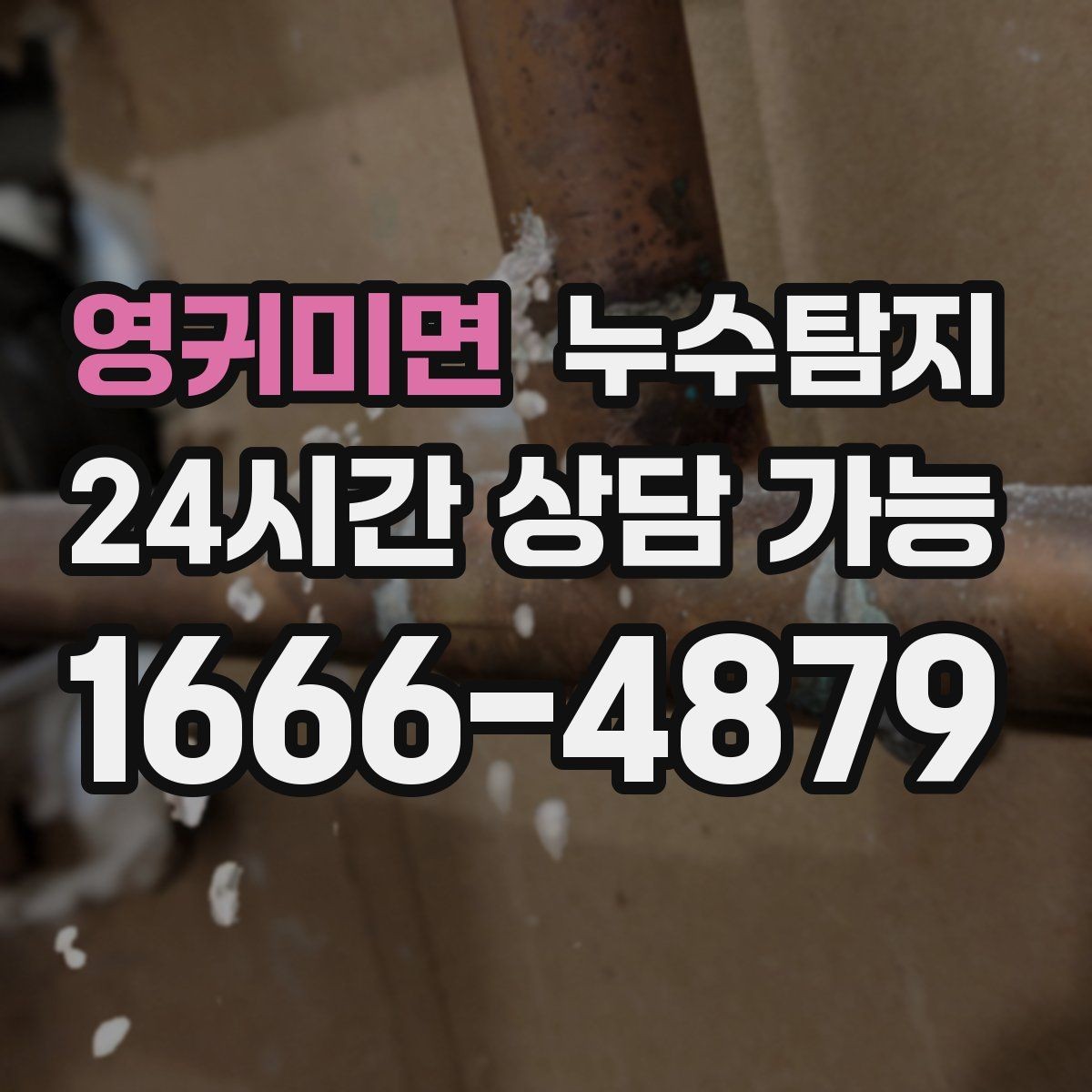 영귀미면 누수탐지 단독주택 외부 관로 점검 이야기