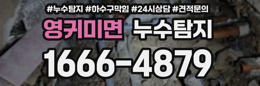 누수탐지