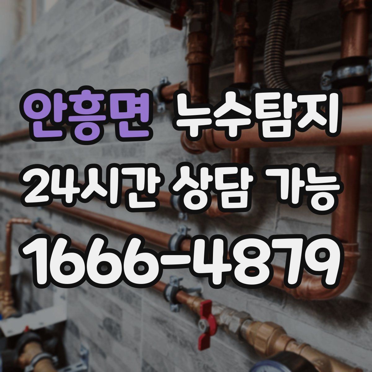 안흥면 누수탐지 장마 전 옥상 점검 실전 팁