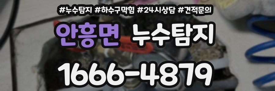 누수탐지