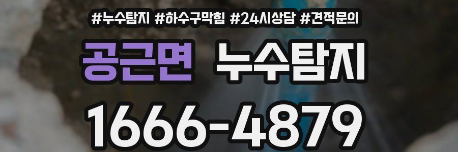 누수탐지